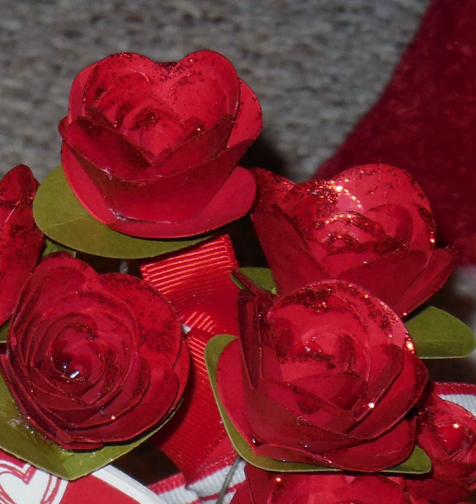 Valentine's Roses