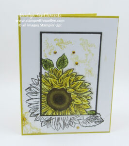 Sunflower Spotlight technique